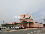 【スーパー】ハローズ高砂店まで511ｍ