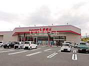 【その他】しまむら　直方店まで318ｍ