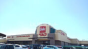 【スーパー】Belc(ベルク) 加須久下店まで803ｍ