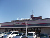 【その他】しまむら 洛南店まで1144ｍ