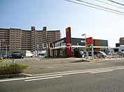 【ファーストフード】マクドナルド福津店まで1118ｍ