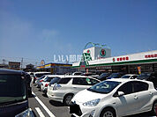 【スーパー】新鮮市場　花高松店まで433ｍ