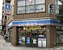 周辺：【コンビニエンスストア】ローソン 真田山町店まで503ｍ