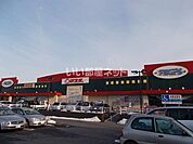 【ショッピングセンター】マスダファインズ淵頭店まで811ｍ