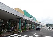 【スーパー】TSURUYA(ツルヤ) 上田中央店まで840ｍ