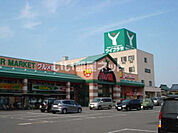 【スーパー】グルメ館福井南店まで1321ｍ