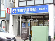 【ドラッグストア】玉川学園薬局金井店まで358ｍ