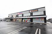 【ドラッグストア】サンキュードラッグ　城野店（フェリスタウン城野）まで699ｍ