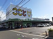 【スーパー】コープやまぐち　ここととくやま店まで891ｍ