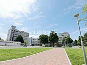 【大学】国立大学法人茨城大学工学部まで239ｍ