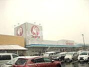 【ホームセンター】コメリハード&グリーン豊栄店まで480ｍ