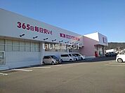 【ドラッグストア】コスモス　中黒店まで1736ｍ