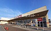 【ドラッグストア】ウォンツ 周東店まで1434ｍ