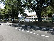 【保育園】日立市立大沼幼稚園まで298ｍ