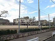 【小学校】藍住東小学校まで390ｍ