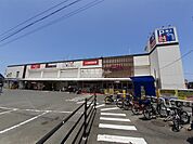 【ショッピングセンター】イオン野芥店まで345ｍ