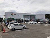 【スーパー】マルショク　新名爪店まで3512ｍ