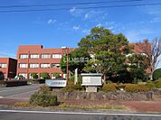 【市役所・区役所】八代市鏡支所まで452ｍ