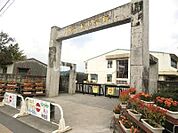 【小学校】姶良市立加治木小学校まで259ｍ