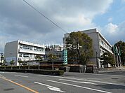 【高校】熊本県立八代高等学校・八代中学校まで583ｍ