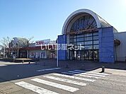 【スーパー】大阪屋ショップ プラファ店まで443ｍ