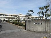 【小学校】北島北小学校まで260ｍ