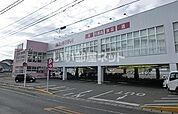 【ドラッグストア】ディスカウントドラッグ コスモス 早苗店まで634ｍ