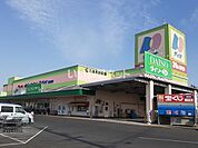 【ディスカウントショップ】ディオ 岡山南店まで772ｍ