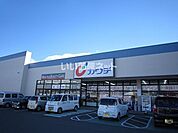 【ドラッグストア】カワチ薬品大胡店まで1237ｍ