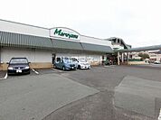 【スーパー】マルヤス山の手通り店まで842ｍ