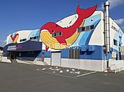 【スポーツ施設】アサヒスポーツクラブ くじらまで742ｍ