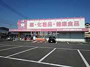 【ドラッグストア】クスリ岩崎チェーン光井店まで119ｍ