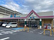 【スーパー】アルク　慶万店まで676ｍ
