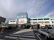 【ホームセンター】コーナン布施駅前店まで799ｍ