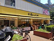 【スーパー】肉のハナマサ都立大店まで1215ｍ