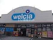【ドラッグストア】ウェルシア宇都宮越戸店まで895ｍ