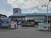 【ホームセンター】コメリ泉南信達店まで825ｍ