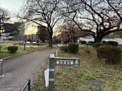 【公園】寿中央公園まで799ｍ