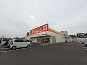 【ディスカウントショップ】ダイレックス 新潟大学前店まで600ｍ