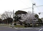 【公園】原崎公園まで616ｍ