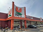 【スーパー】株式会社ユニバース ユニバース 青柳店まで896ｍ