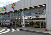 【スーパー】ジャパンミート卸売市場 越谷店まで1505ｍ