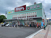 【ドラッグストア】ウォンツ 舟入町店まで642ｍ