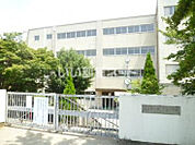 【小学校】松戸市立柿ノ木台小学校まで2020ｍ