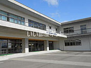 【小学校】福井市立中藤小学校まで1273ｍ