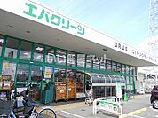 【ドラッグストア】エバグリーン 神楽店まで520ｍ