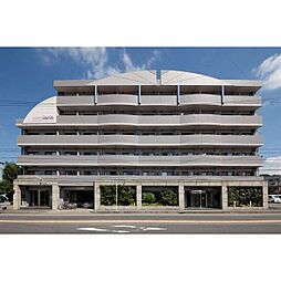 愛知環状鉄道 山口駅 徒歩6分の賃貸マンション