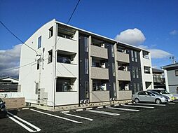 5 / 5