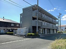 ニューマウンテン