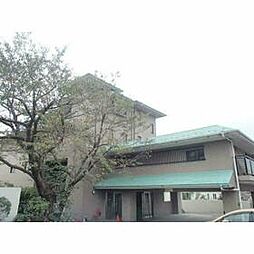 カステッロデルソーレフルヤ